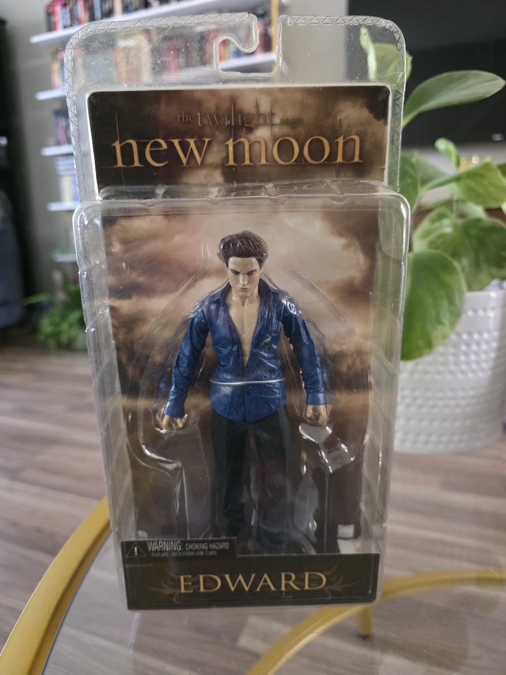 Edward Cullen Action Figure 2009 Twilight: New Moon